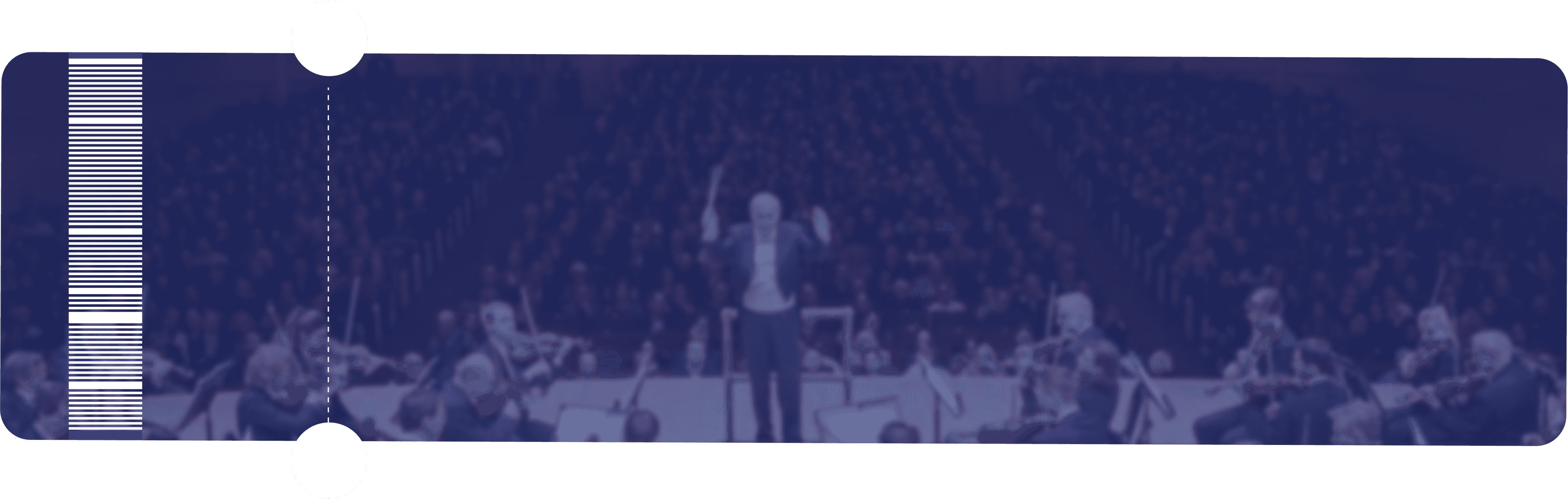 Newsletter background